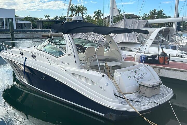 Punta Cana Private Yacht Charter with Open Bar, Snorkeling & Natural Pool photo 3