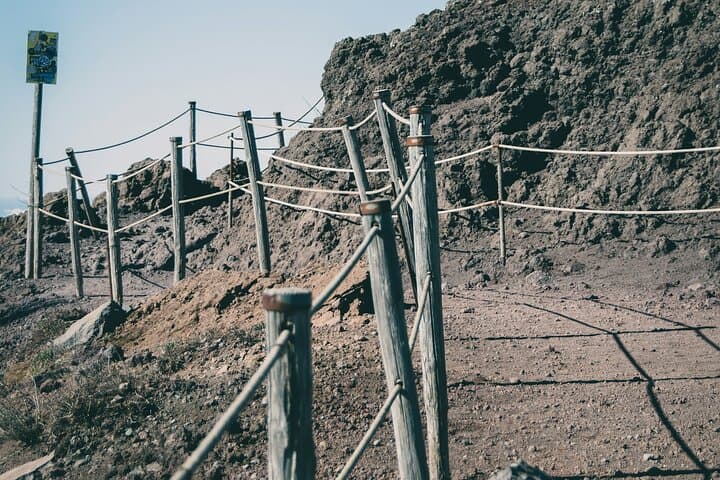 Full-Day Pompeii, Vesuvius & Wine Tasting Tour from Naples photo 3