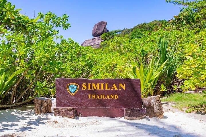 Similan Islands Speedboat Day Trip from Khao Lak & Phuket — Snorkel the Similans photo 2