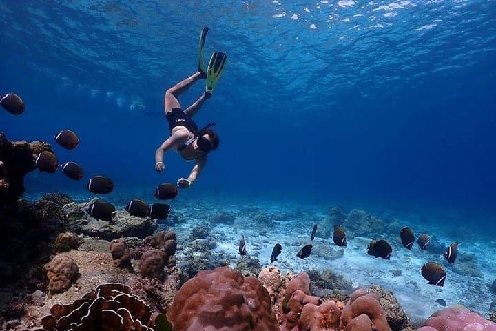 Similan Islands Speedboat Day Trip from Khao Lak & Phuket — Snorkel the Similans photo 6