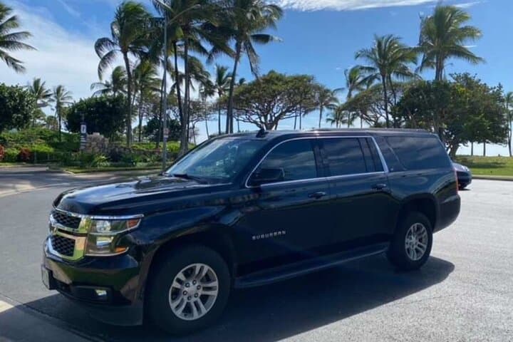 Luxury Private Departure Transfer from Oahu Hotels to Honolulu International Airport (HNL)