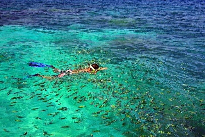 Similan Islands Speedboat Day Trip from Khao Lak & Phuket — Snorkel the Similans photo 5