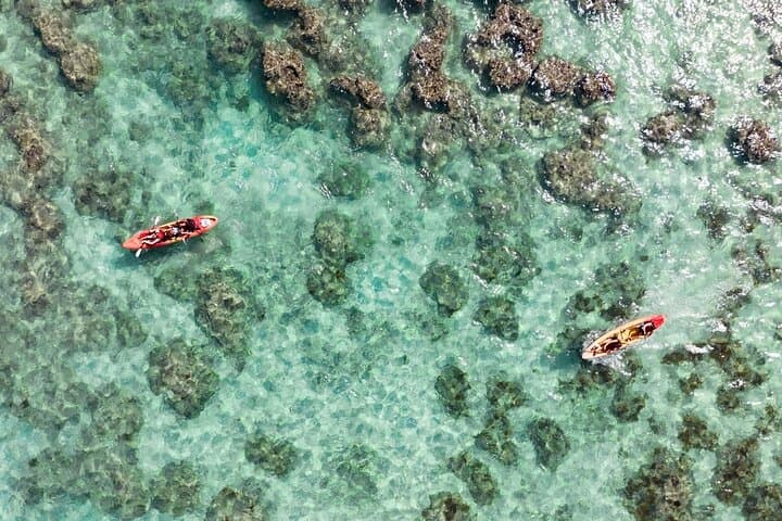 Paddle to the Mokulua Islands: Guided Kayak Tour From Kailua Beach photo 3