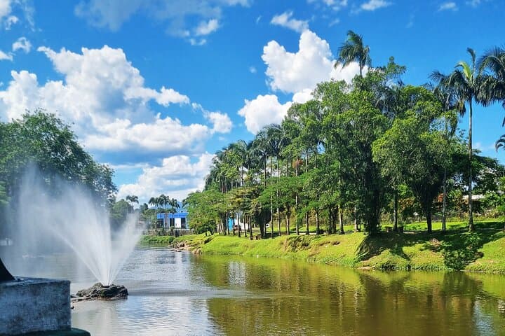 Paranaguá–Curitiba Scenic Train: Full-Day Curitiba to Morretes & Antonina photo 3