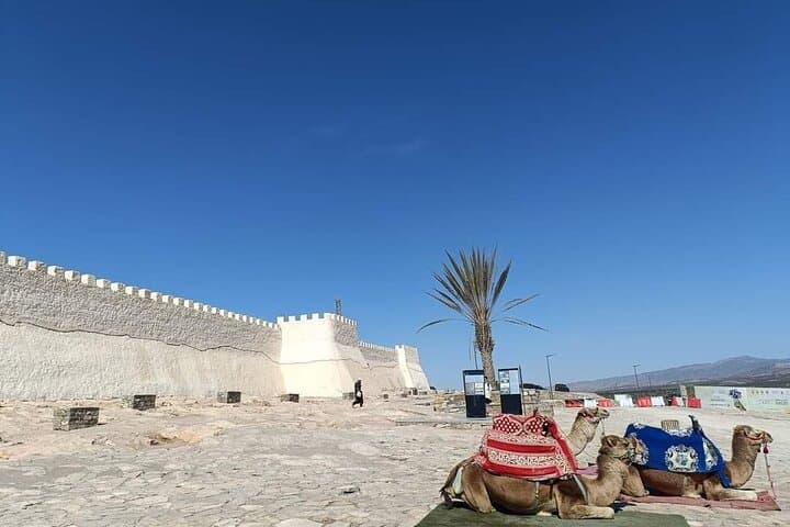 Half-Day Agadir City Tour: Medina Coco Polizzi, Souk El Had & Oufella Cable Car photo 4