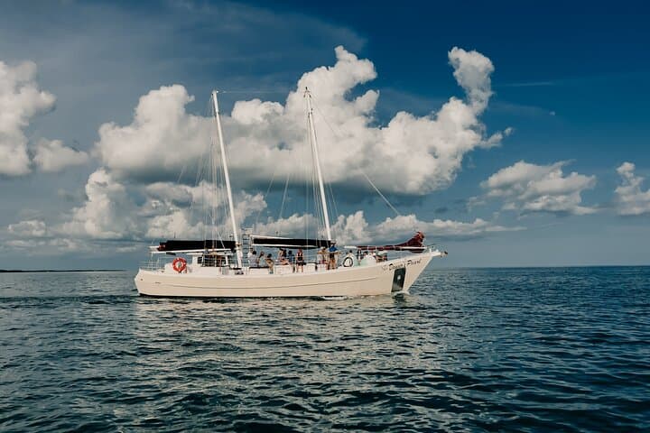 Sunset Sailing & Wine Cruise in Stock Island — Key West 2-Hour Experience photo 5