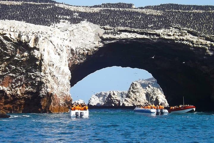 Ballestas Islands Boat Tour from Paracas — 2-Hour Wildlife Cruise photo 2