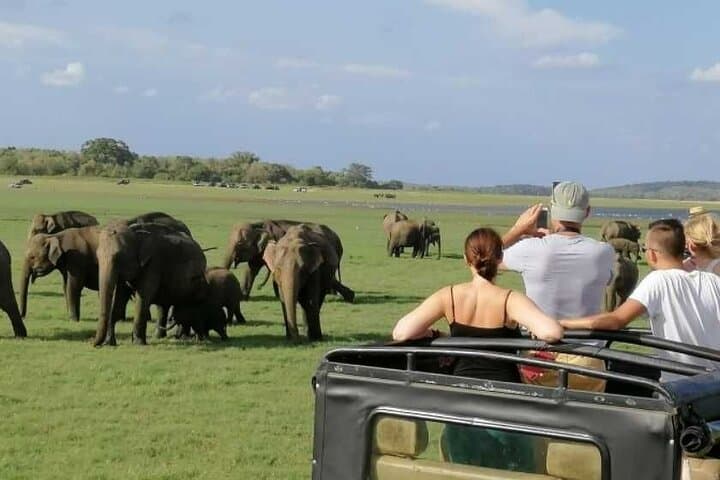 Sigiriya Rock and Minneriya Jeep Safari from Trincomalee — Private Day Tour photo 3