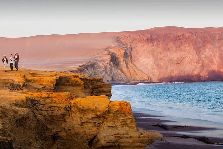 Ballestas Islands & Paracas Reserve: Full-Day Wildlife and Coastal Landscapes Tour photo 1