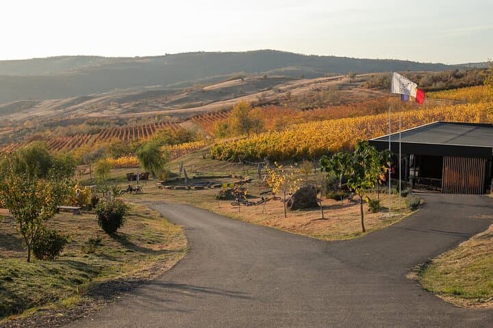 Private Tasting Expedition in Dealu Mare — Wine Route Day Trip from Bucharest photo 2