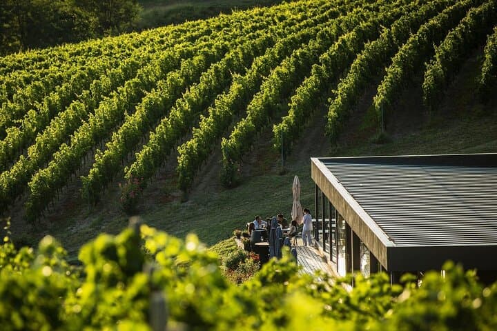 Private Tasting Expedition in Dealu Mare — Wine Route Day Trip from Bucharest