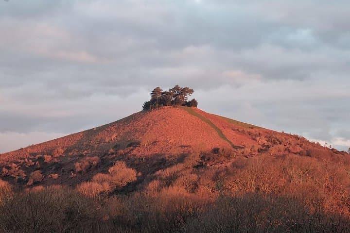 West Dorset Full-Day Tour: Lyme Regis, Charmouth, Symondsbury & West Bay
