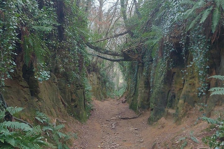 West Dorset Full-Day Tour: Lyme Regis, Charmouth, Symondsbury & West Bay photo 4