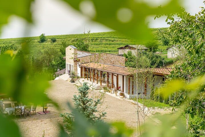 Private Tasting Expedition in Dealu Mare — Wine Route Day Trip from Bucharest photo 5