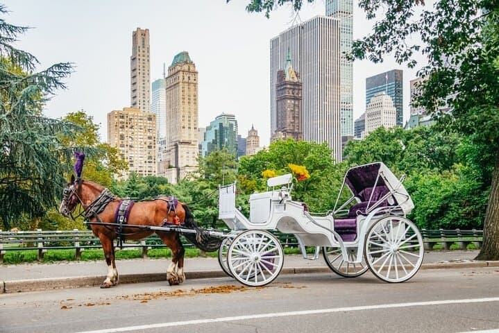 Classic Central Park Horse Carriage Ride — 40-Minute Guided Tour of NYC's Iconic Park