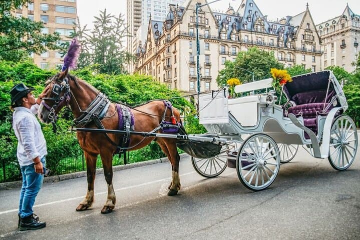 Classic Central Park Horse Carriage Ride — 40-Minute Guided Tour of NYC's Iconic Park photo 3