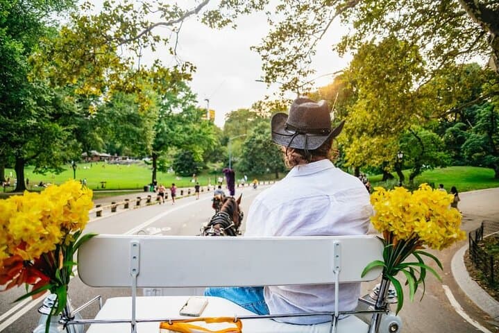 Classic Central Park Horse Carriage Ride — 40-Minute Guided Tour of NYC's Iconic Park photo 4