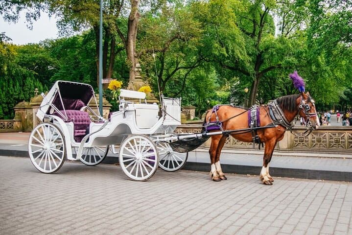 Classic Central Park Horse Carriage Ride — 40-Minute Guided Tour of NYC's Iconic Park photo 5
