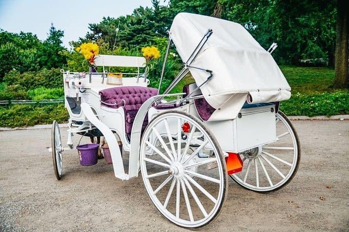 Central Park Horse Carriage Ride: Private 40-Minute Tour to Bethesda & Cherry Hill photo 4