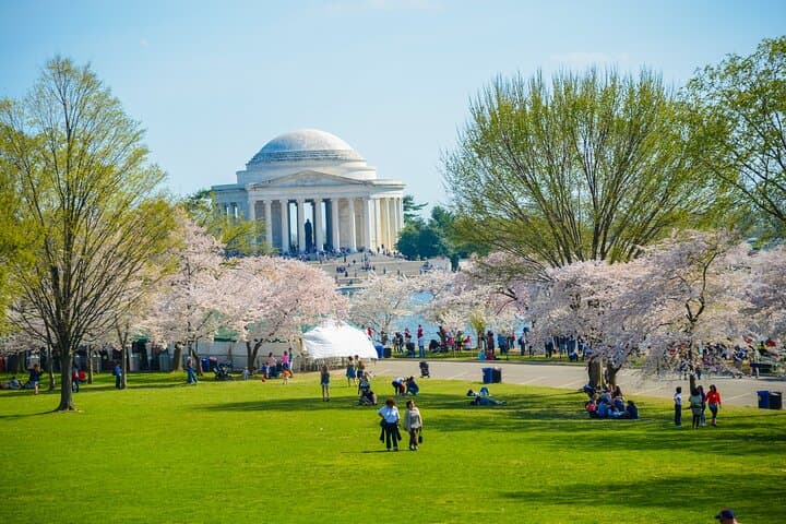 Washington DC Hop-On Hop-Off Bus Tour: Essential Guide to Big Bus Red Route & Arlington Audio Walks photo 3