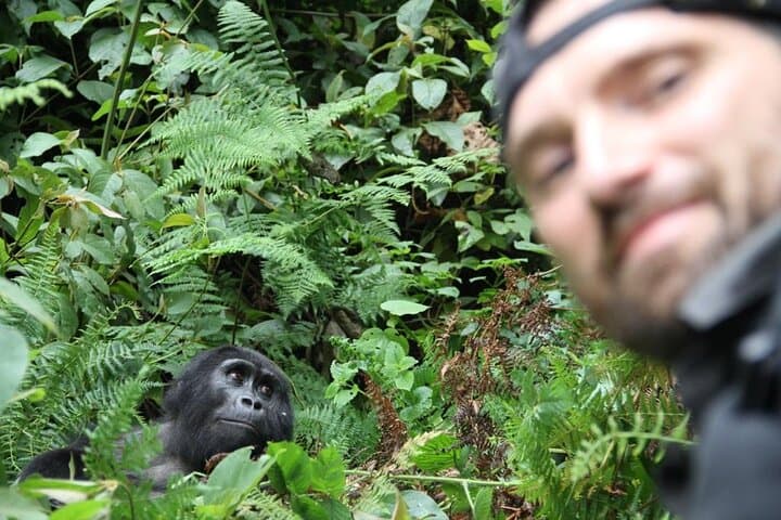 3-Day Bwindi Gorilla Trek & Volcanoes Golden Monkey Safari