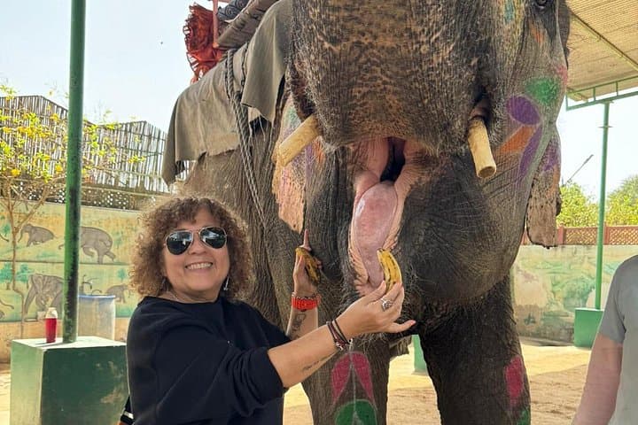 Private 5-Day Golden Triangle and Ranthambore Safari: Delhi, Agra, Jaipur & Tigers photo 1