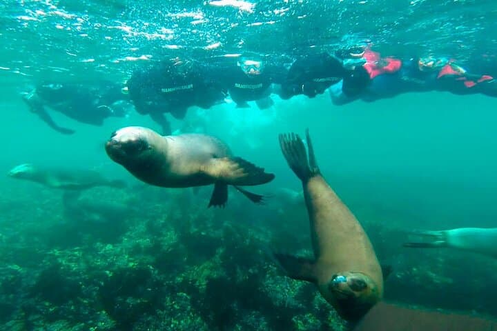 Sail Paracas Bay: Catamaran Cruise, Dolphins & Swim Stop photo 2