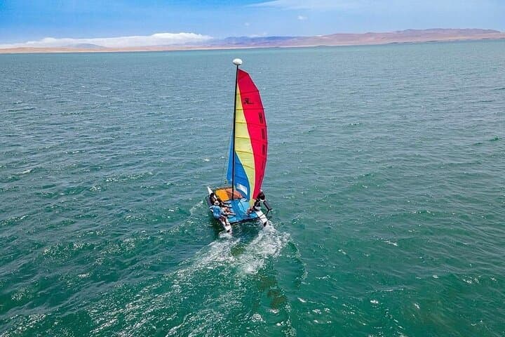 Sail Paracas Bay: Catamaran Cruise, Dolphins & Swim Stop