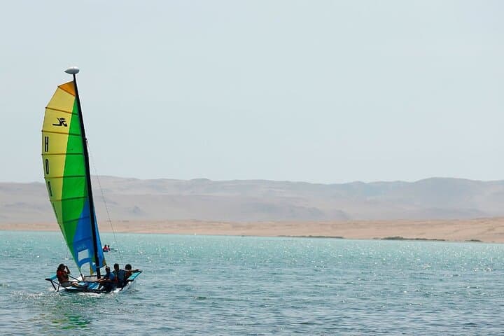 Sail Paracas Bay: Catamaran Cruise, Dolphins & Swim Stop photo 6