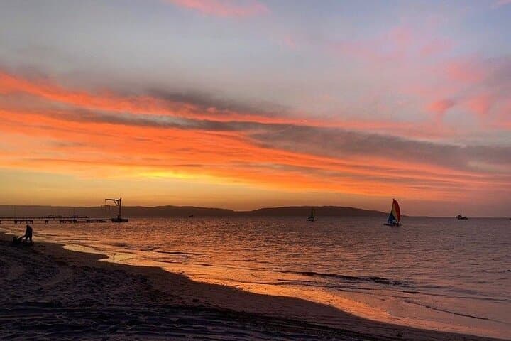Sail Paracas Bay: Catamaran Cruise, Dolphins & Swim Stop photo 5
