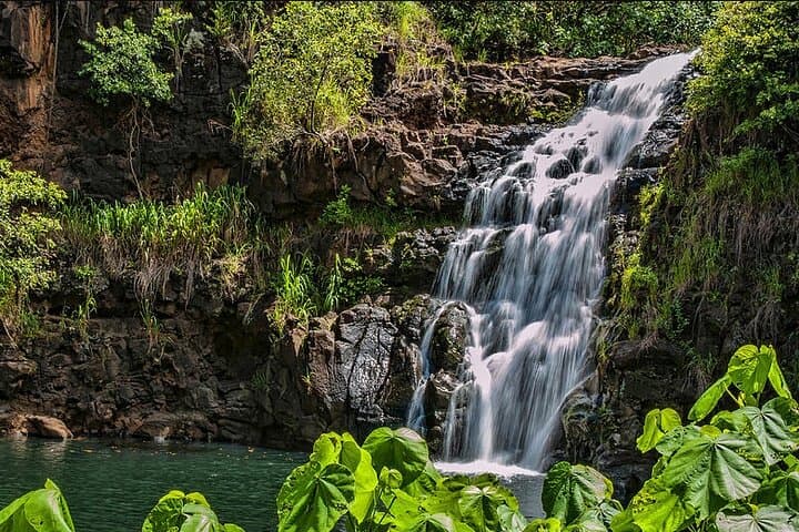 Oahu Circle Island Tour: Waimea Waterfall, North Shore & Coastal Lookouts