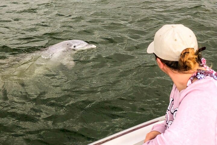 Hilton Head 90‑Minute Dolphin and Nature Cruise on Broad Creek photo 5