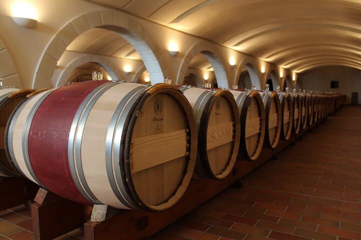 Saint-Émilion Half-Day E‑Bike & Wine Tour with Vineyard Picnic photo 6