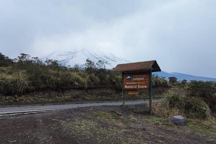 Cotopaxi National Park & Rose Farm: Full-Day Private Tour from Quito photo 3