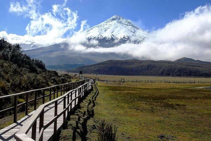Cotopaxi National Park & Rose Farm: Full-Day Private Tour from Quito photo 4