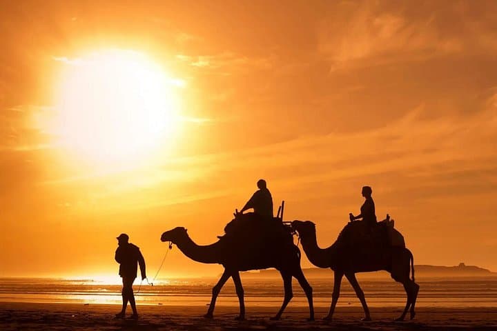 9-Day Morocco Highlights: Casablanca to Marrakech with Sahara Camel Safari photo 2