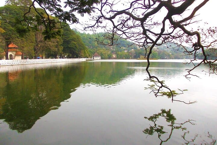 Kandy Day Tour from Bentota: Royal Botanic Gardens, Temple of the Tooth & Kandyan Dance photo 4