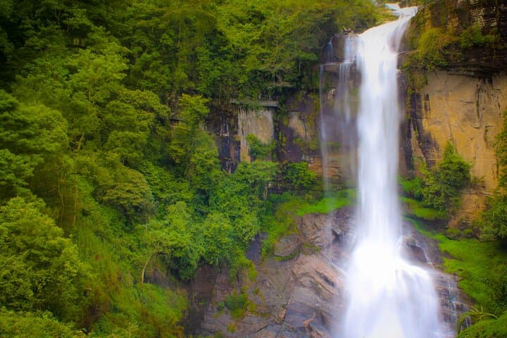 Kandy Day Tour from Bentota: Royal Botanic Gardens, Temple of the Tooth & Kandyan Dance