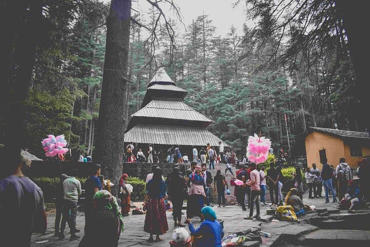 Manali, Kullu & Solang Valley One-Day Sightseeing and Paragliding Tour