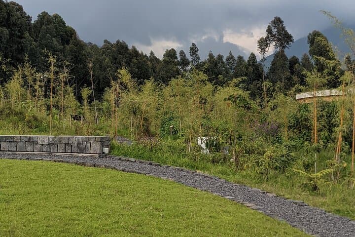 Full-Day Private Golden Monkey Tracking in Volcanoes National Park, Rwanda photo 3