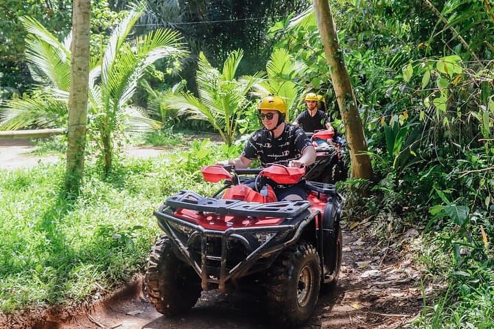ATV and VW Scenic Ubud Combo: Rice Fields, Jungle & Waterfalls photo 6
