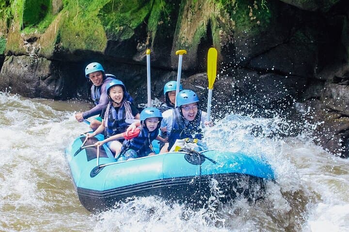 Ayung River Rafting in Ubud — Bali White-Water Adventure & Jungle Waterfalls photo 2