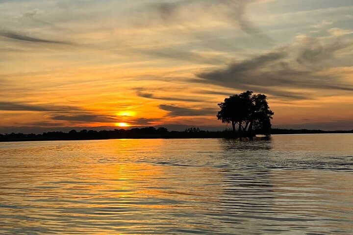 Chobe Day Trip from Victoria Falls — Boat Cruise & Afternoon Game Drive in Chobe National Park photo 3