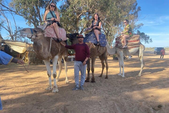 Agadir Camel Ride: 2-Hour Countryside Tour to the Souss River Mouth