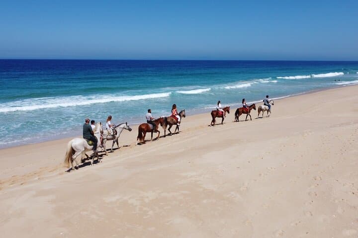 Melides Beach Horseback Rides — 2-Hour Coastal Trail near Setúbal