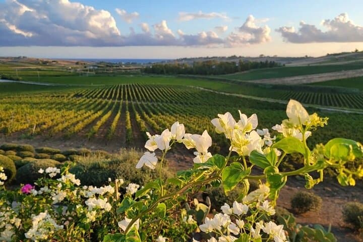 Secrets of Non-Tourist Sicily — 8-Day Private Rural Tour photo 1