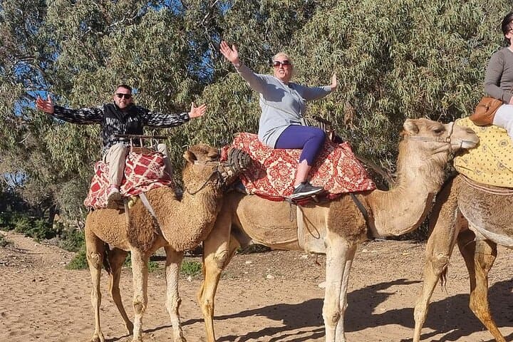 Agadir Camel Ride: 2-Hour Countryside Tour to the Souss River Mouth photo 2
