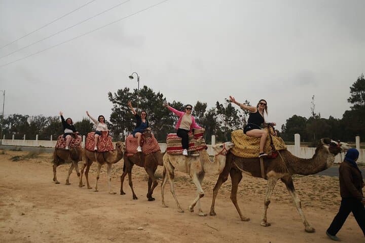 Agadir Camel Ride: 2-Hour Countryside Tour to the Souss River Mouth photo 3