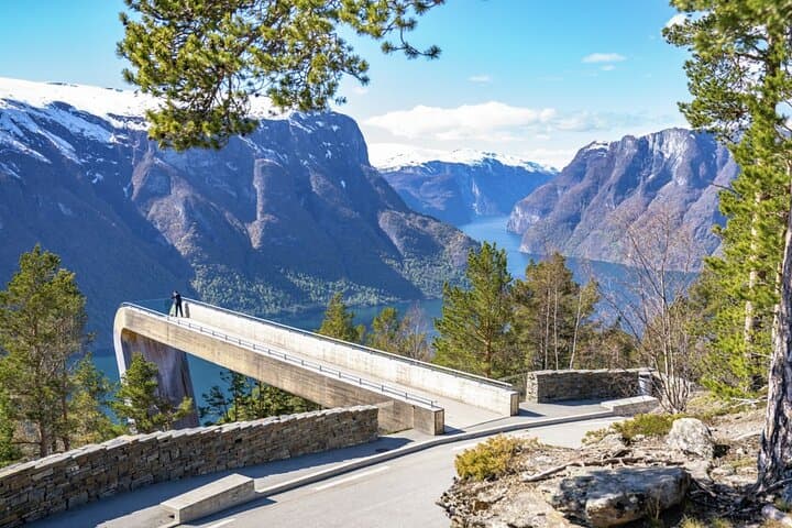 Flåm Day Trip from Bergen: Flåm Railway, Stegastein Viewpoint & Nærøyfjord Cruise