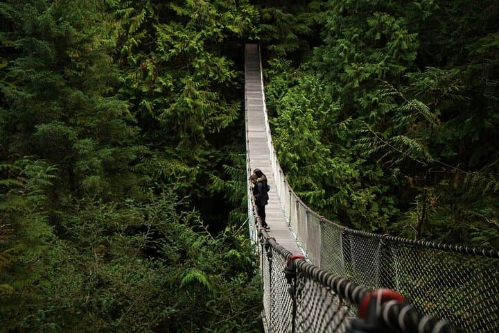 Vancouver Hiking Highlights: Grouse Grind, Lynn Canyon & Gondola Down photo 2